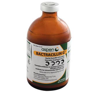 Bactracillin G Injectable Suspension 100ML