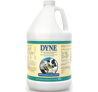 Dyne High Calorie Liquid for Livestock 1 Gal