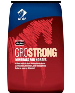 ADM – GroStrong Horse Minerals – 50lbs