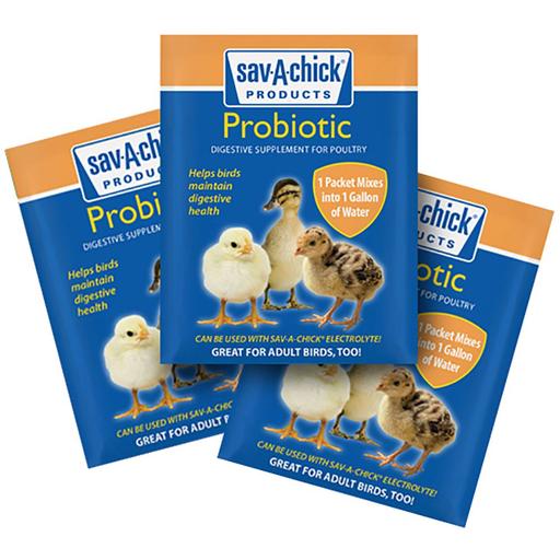 Sav-A-Chick Probiotic Supplement