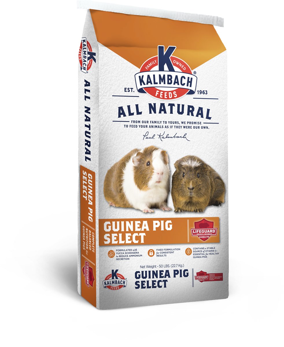Kalmbach – 22% Guinea Pig Select – 50lbs
