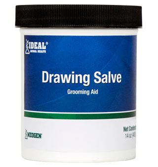 Drawing Salve – 14oz