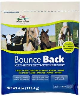 Bounce Back Electrolyte Supplement – 4 Oz