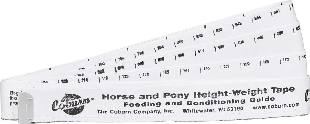 Horse And Pony Tape